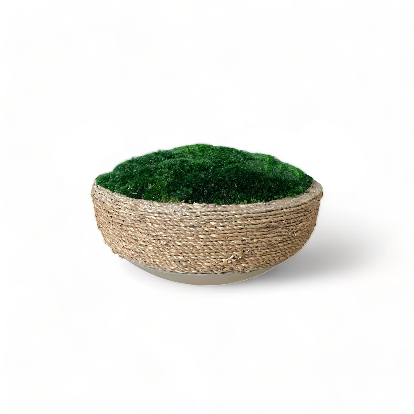 Urban Moss Bowl