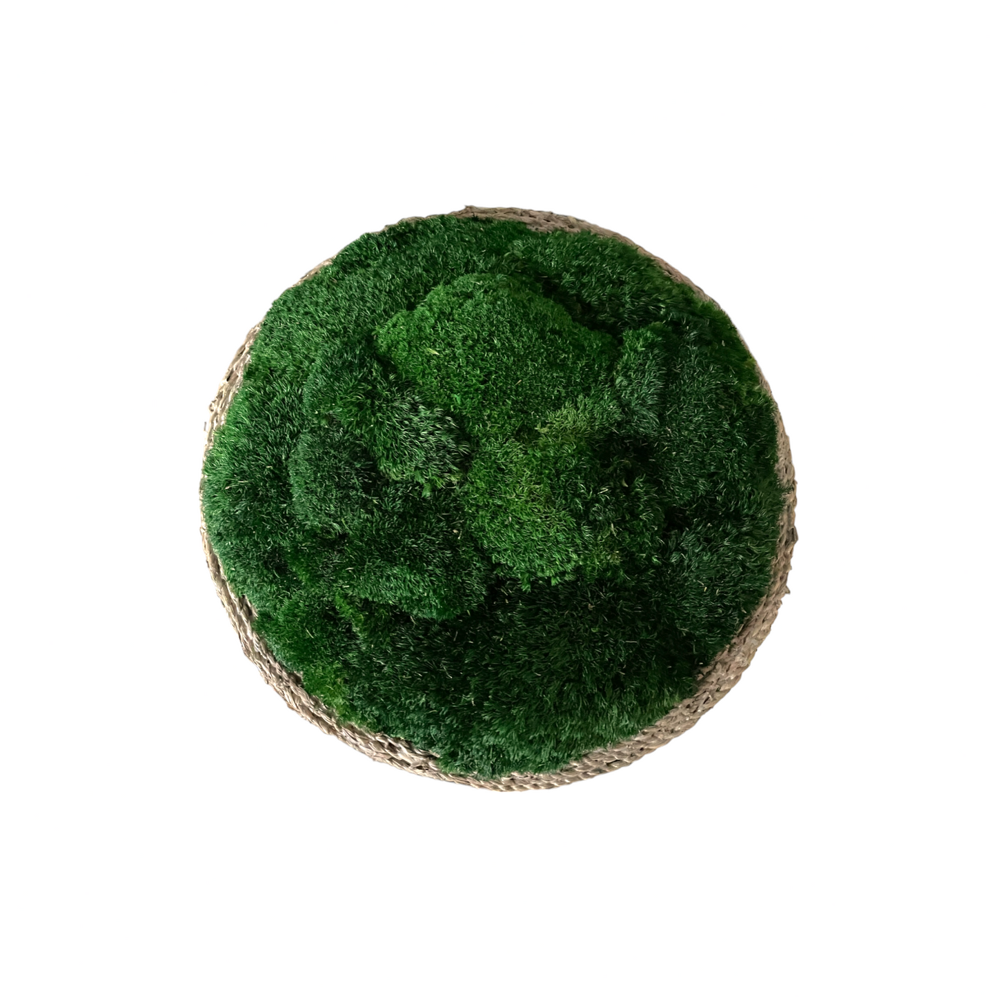 Urban Moss Bowl