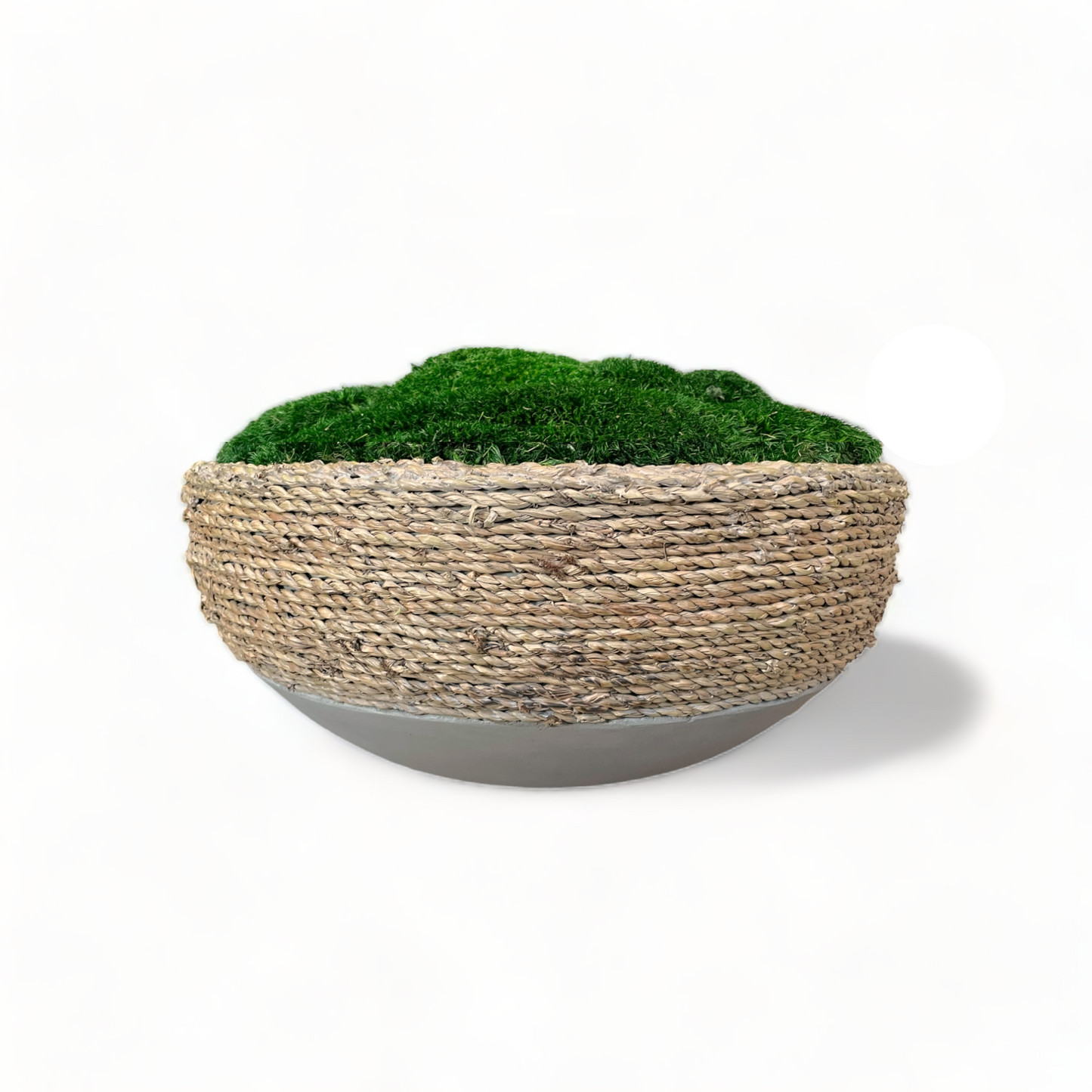 Urban Moss Bowl