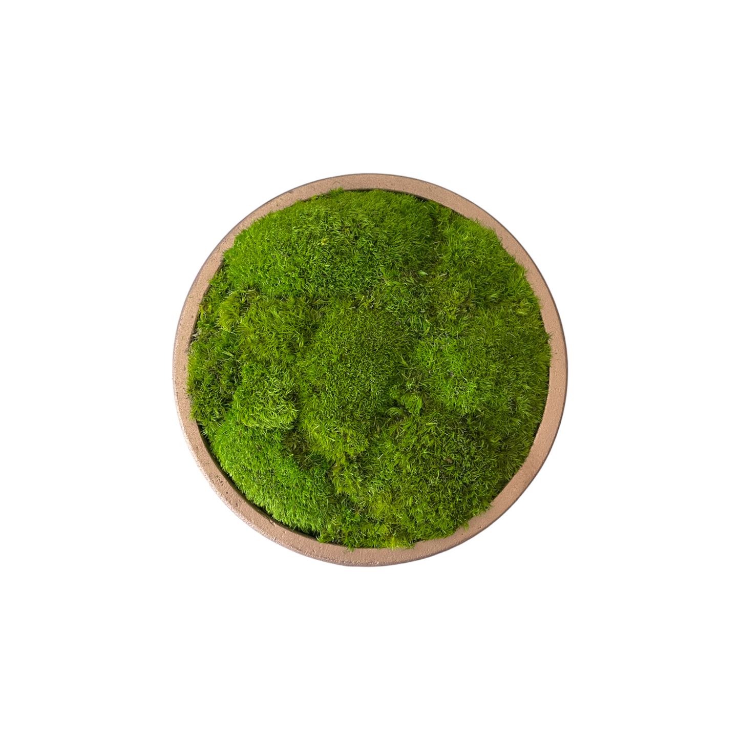 The Golden Copper Moss Bowl - Light Green