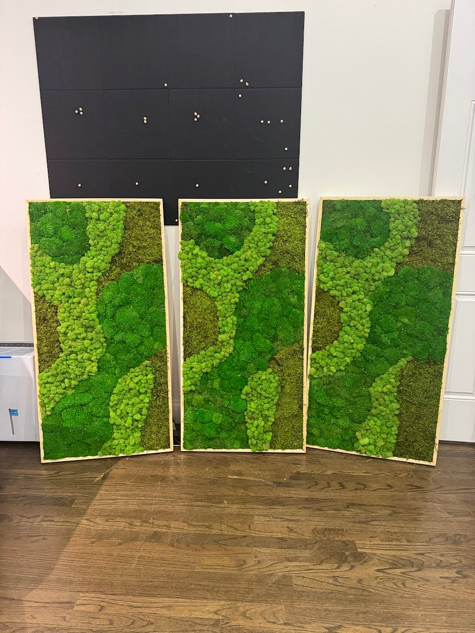 Vestibule Moss Art Frame (One Piece)