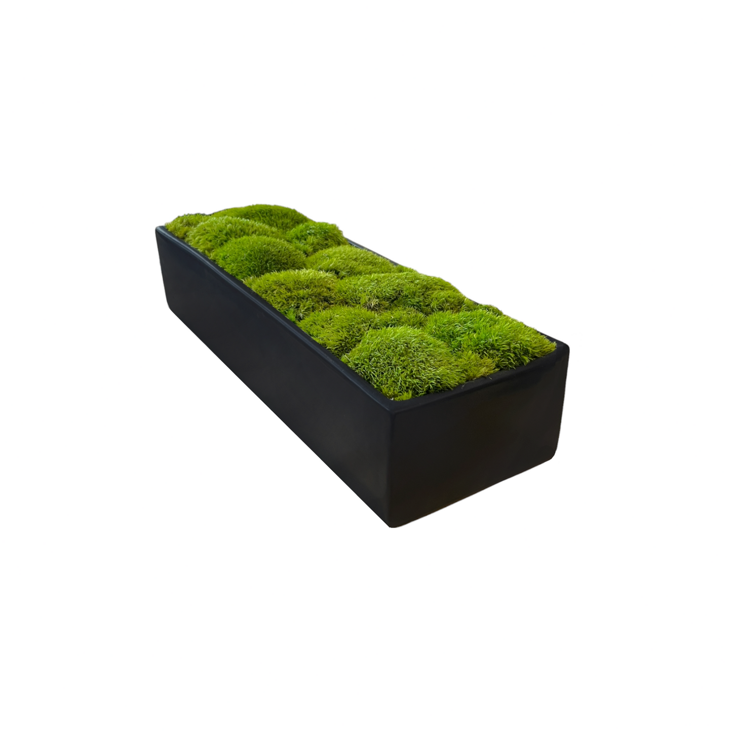 Wide Topiary Moss Bowl (Light Moss)