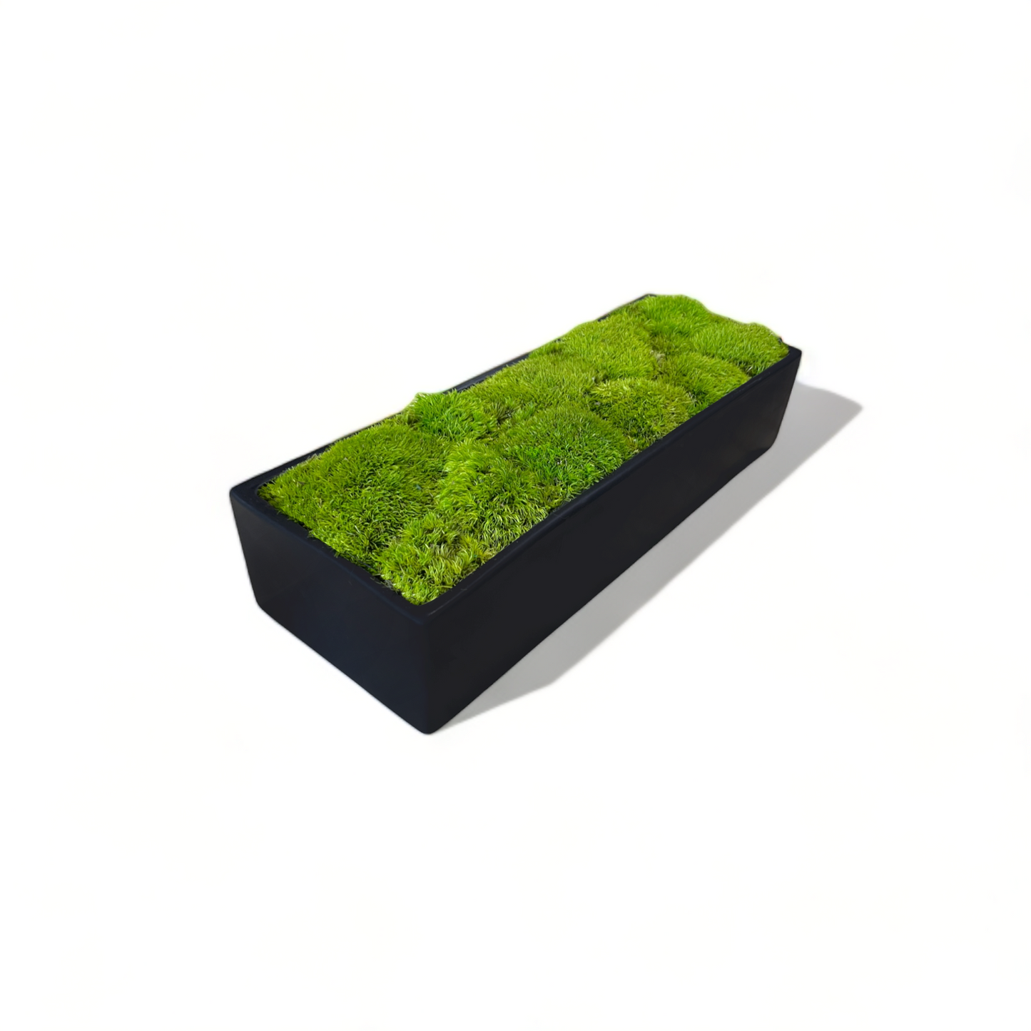 Wide Topiary Moss Bowl (Light Moss)