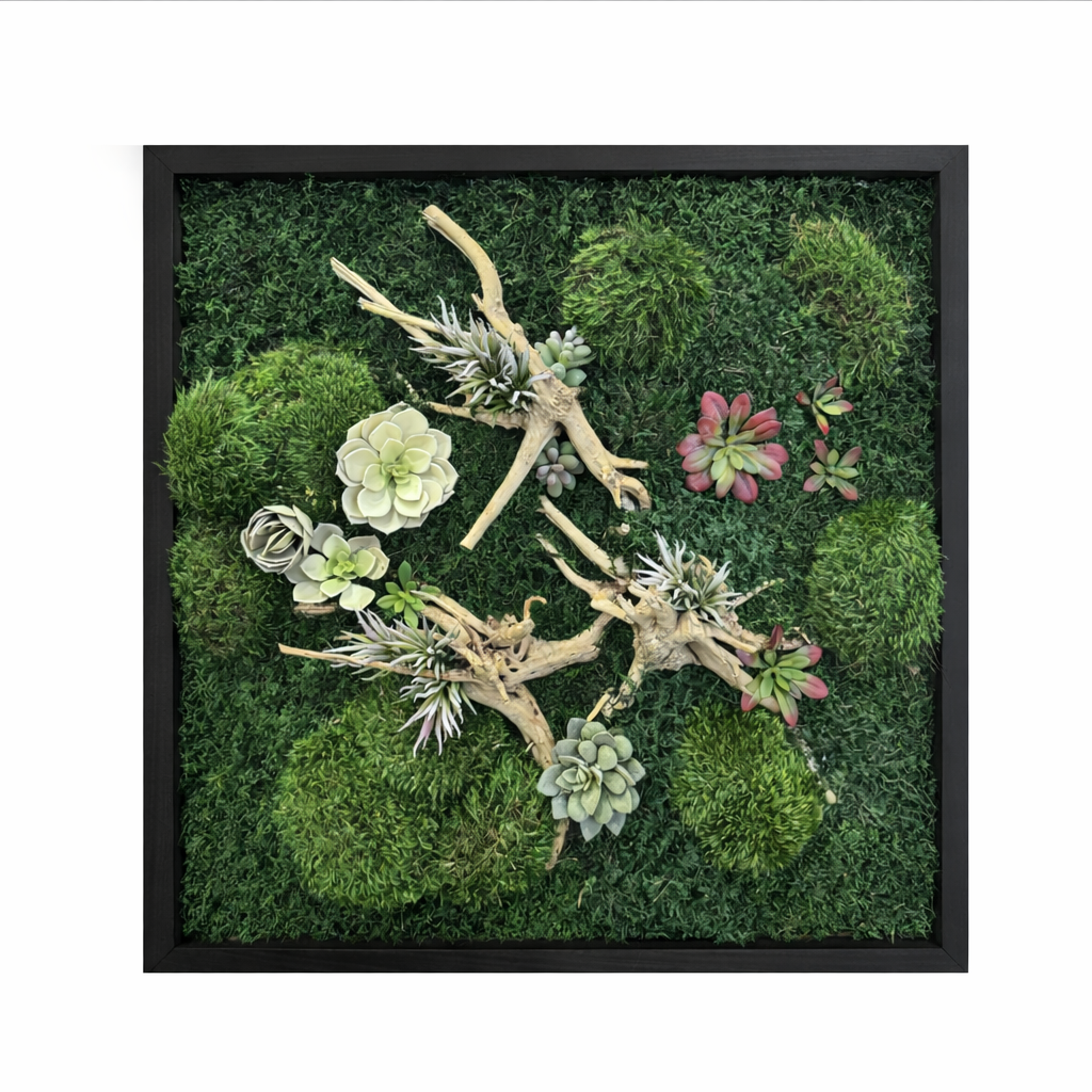 succulents moss landing Drift & Root Succulent Moss Art Frame – The Moss Shop