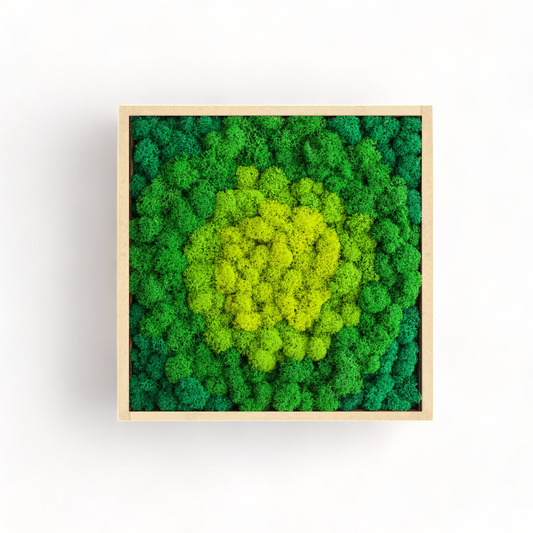 The Vibrant Bohemian - Moss Wall Art Frame