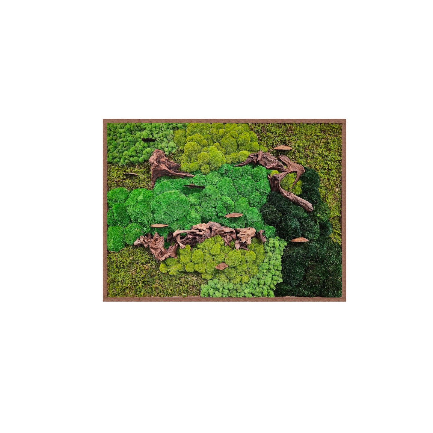 Foraged Woodlands (Horizontal) Moss Art Frame