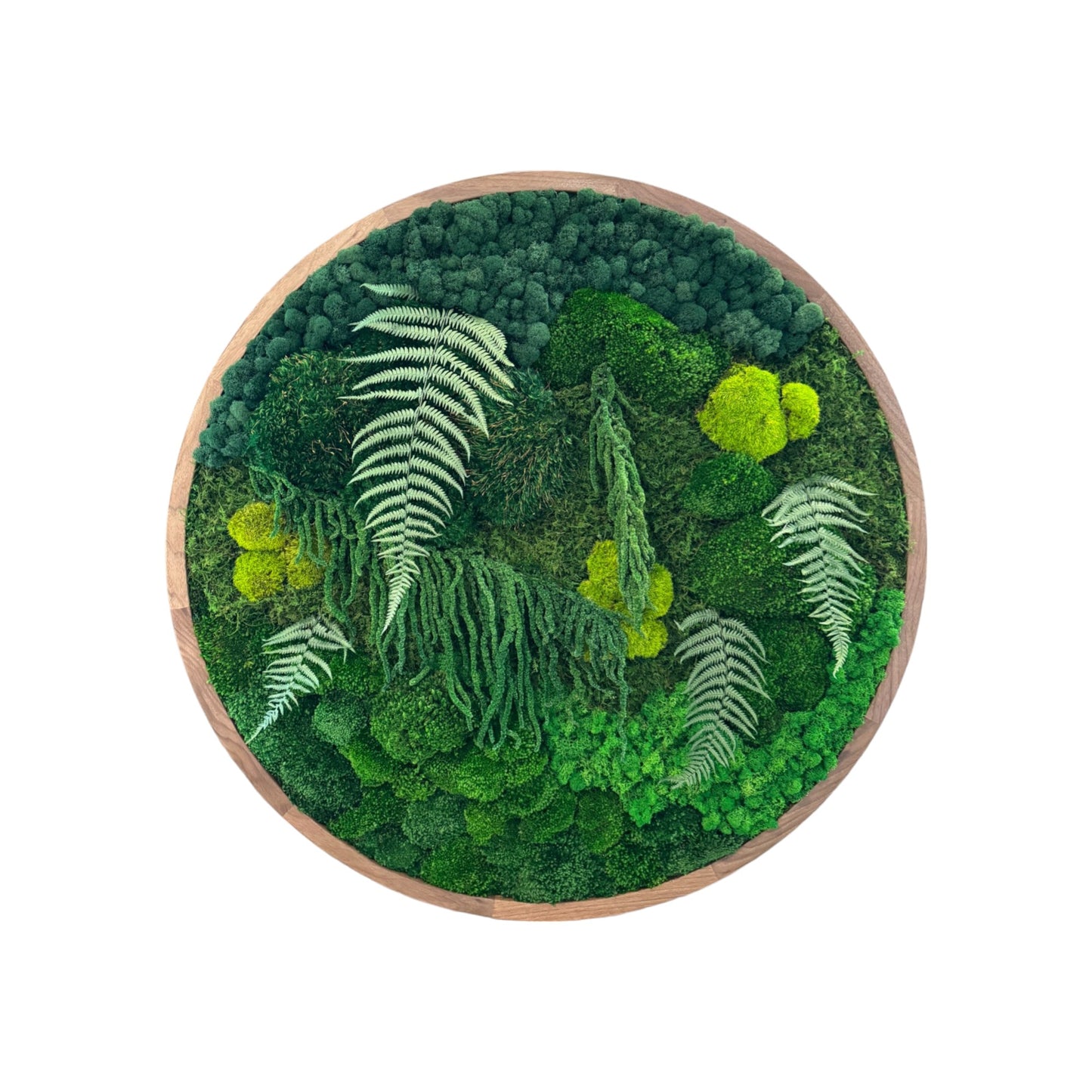 The Rainforest Sphere - Moss Circle Art Frame