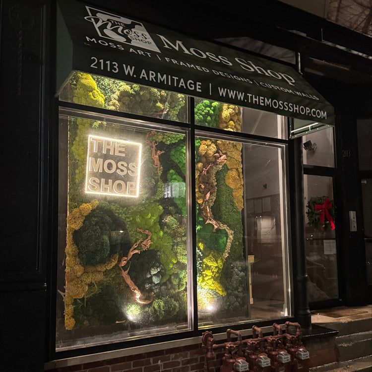 Custom Moss Signs & Logos - Branded Moss Art | The Moss Shop