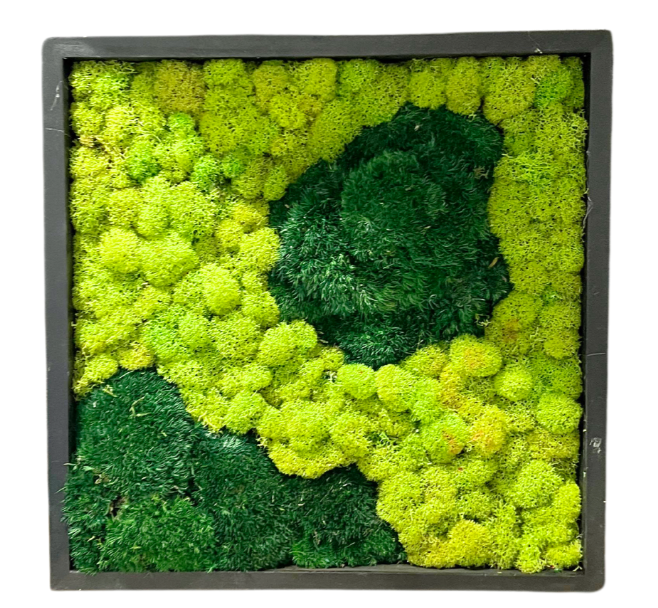 Two Islands Moss Art Frame