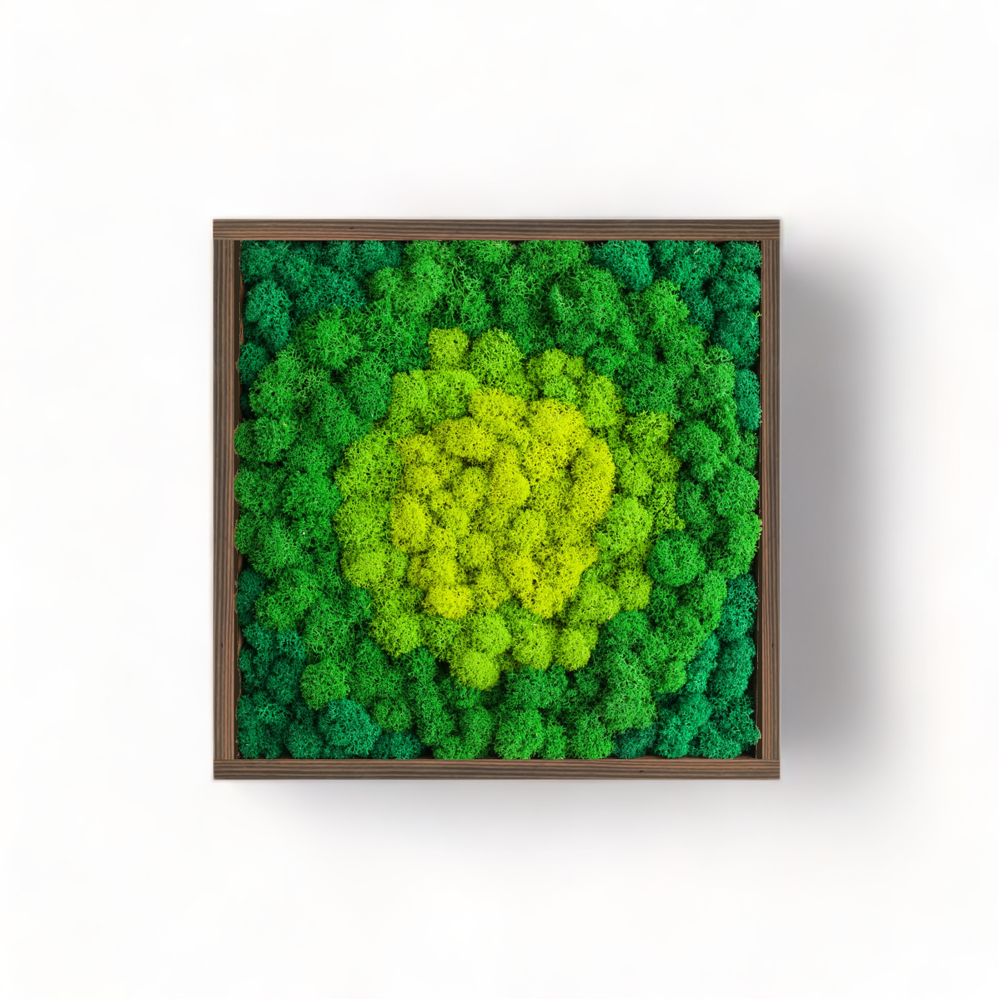 The Vibrant Bohemian - Moss Wall Art Frame