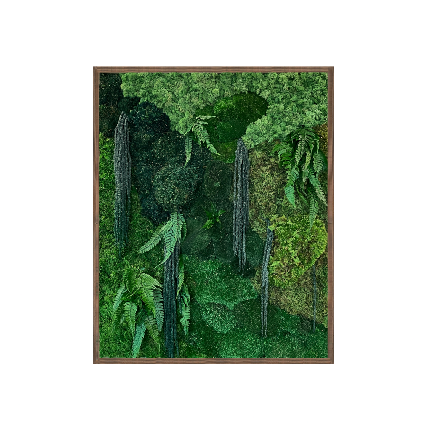 The Deep Forest Moss Art Frame