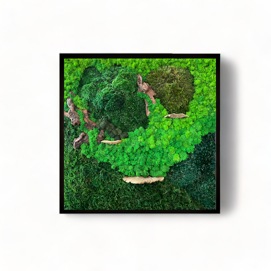 Moss Art Frame - Topography View