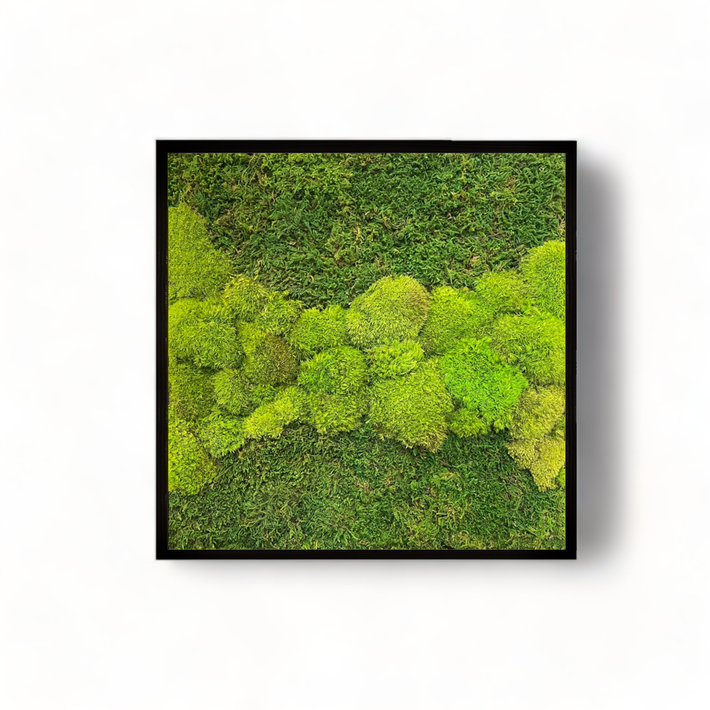 Hoppy Fields Moss Art Frame