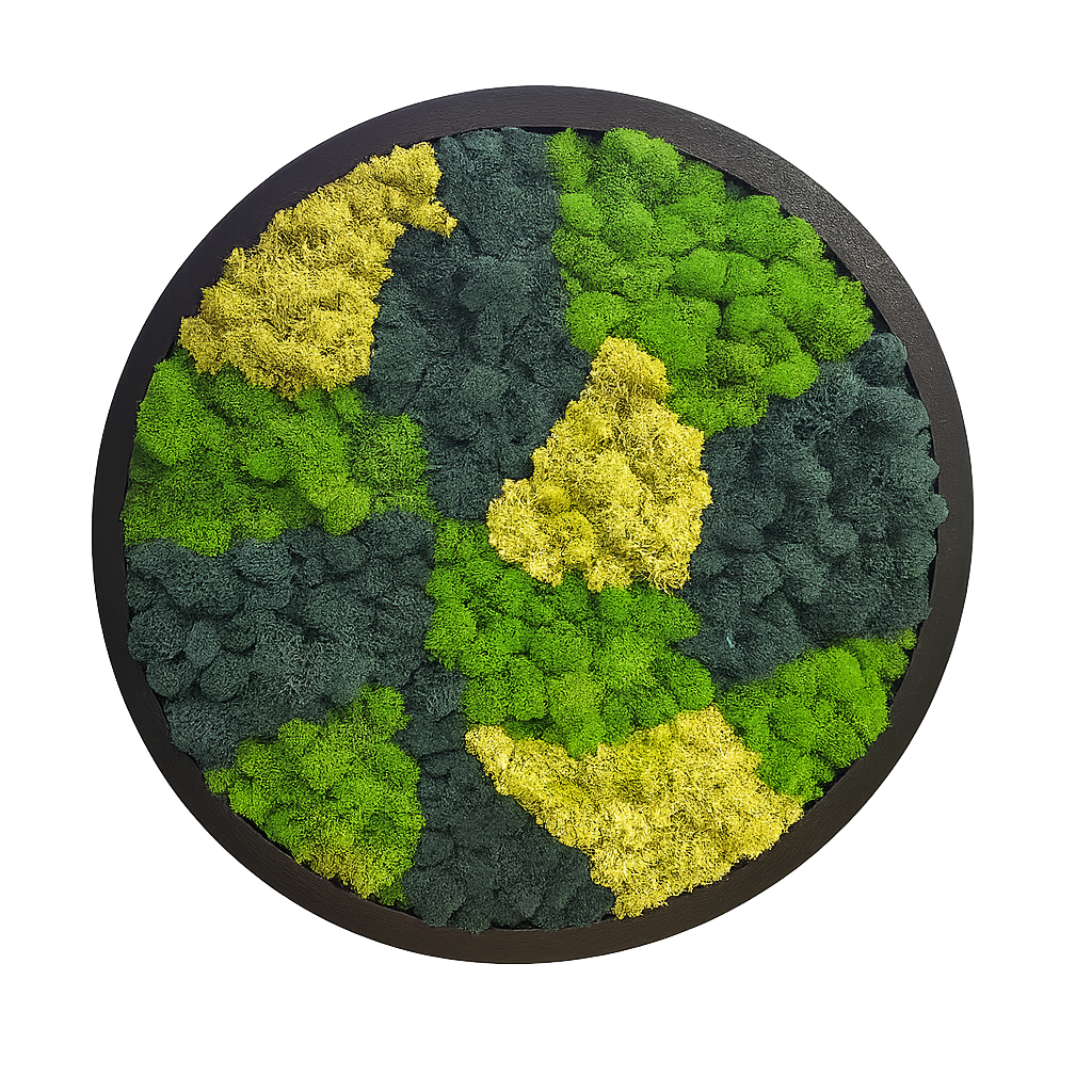Nature's Segments Circle Moss Art Frame