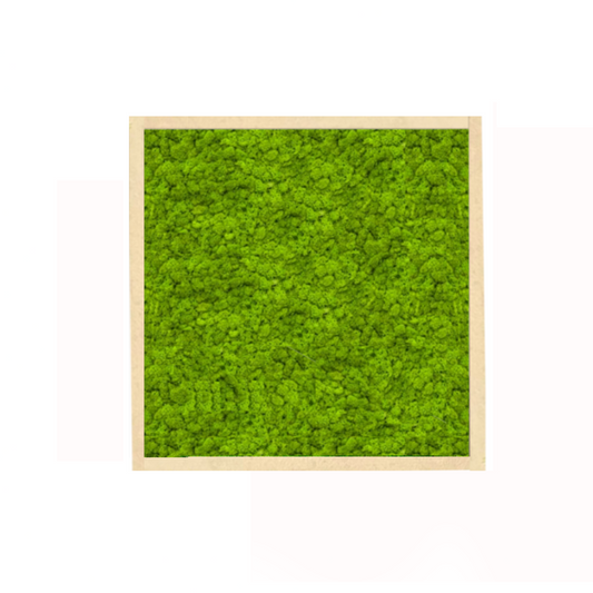 The Minimalist Lichen - Moss Art Frame