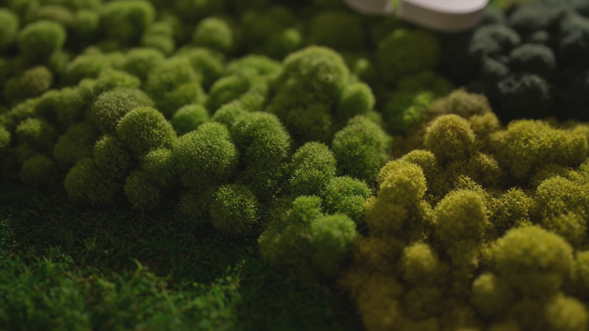 Custom Logo (Mixed Mosses) with CNC Lettering, Moss Art Frame