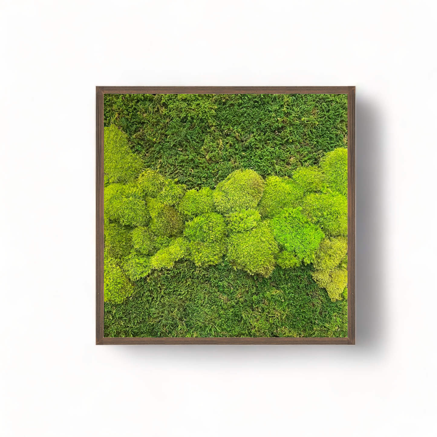 Hoppy Fields Moss Art Frame