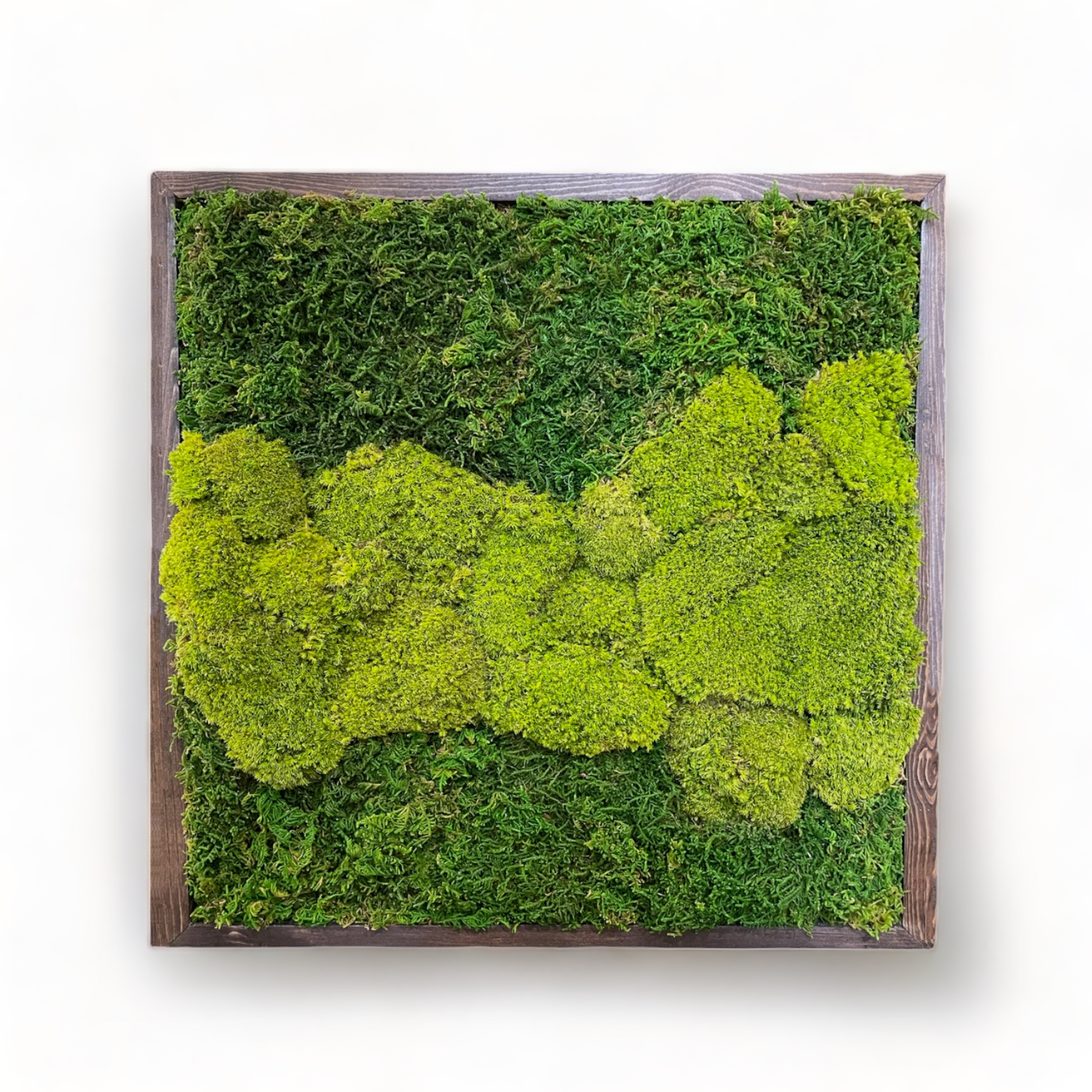 Hoppy Fields Moss Art Frame