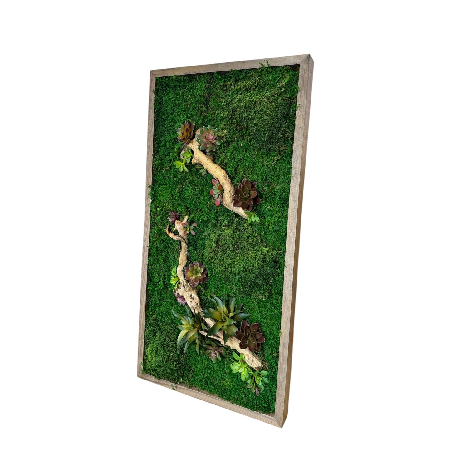 Succulent Accent Moss Art Frame