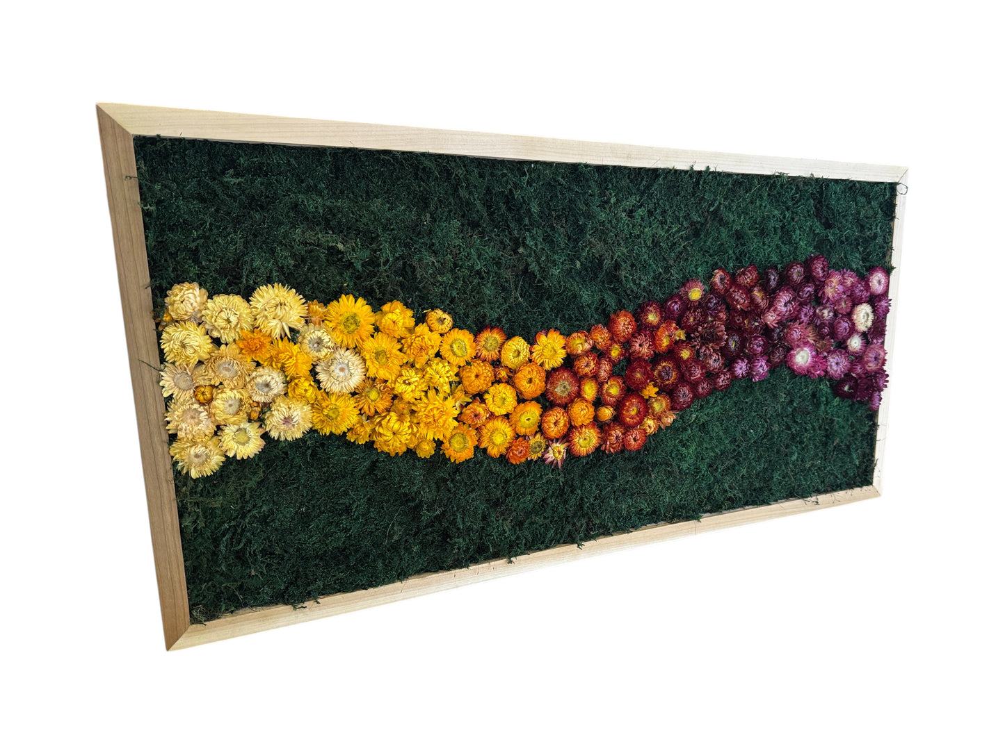 Gradient Floral Moss Art Frame