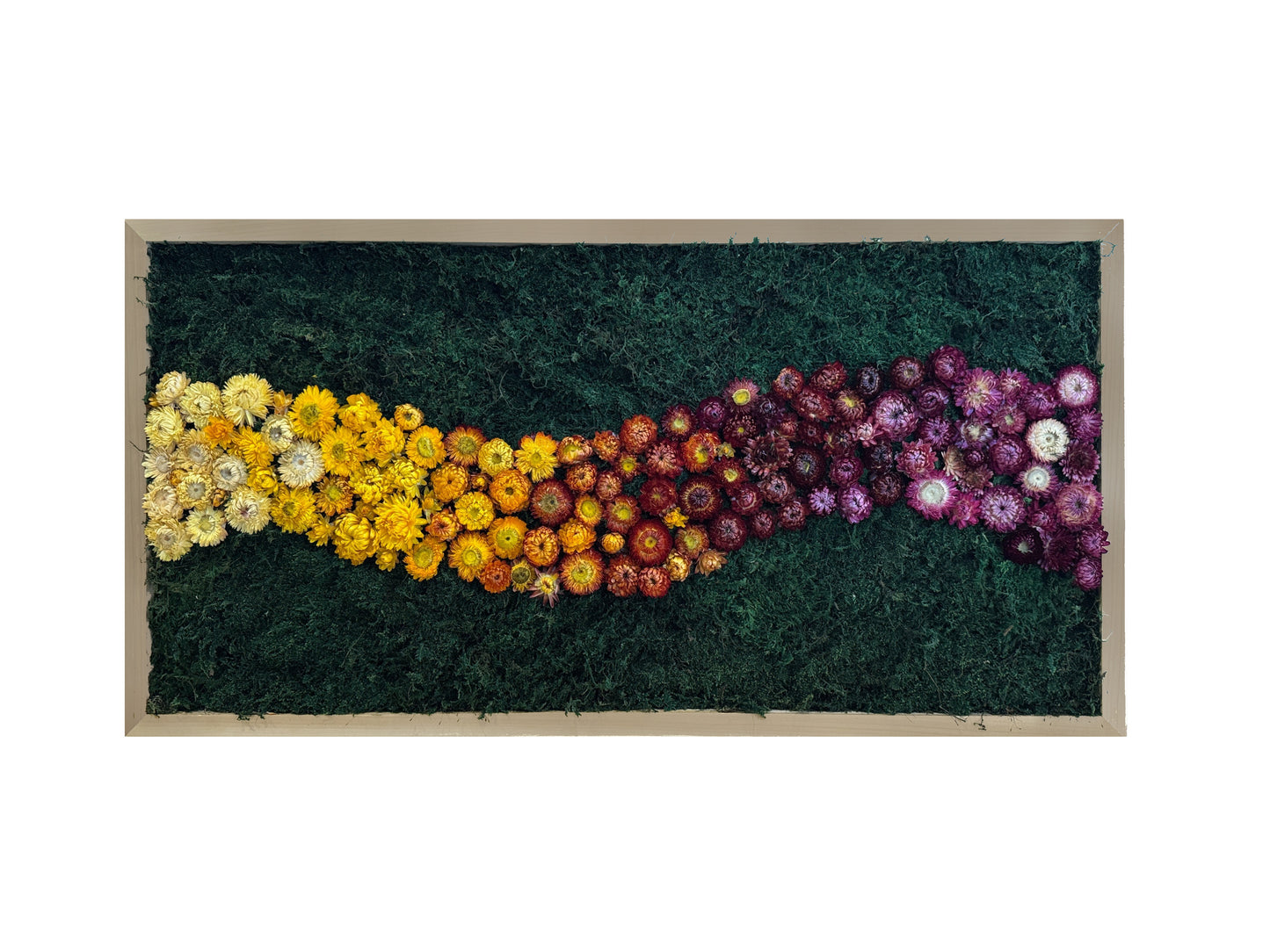 Gradient Floral Moss Art Frame