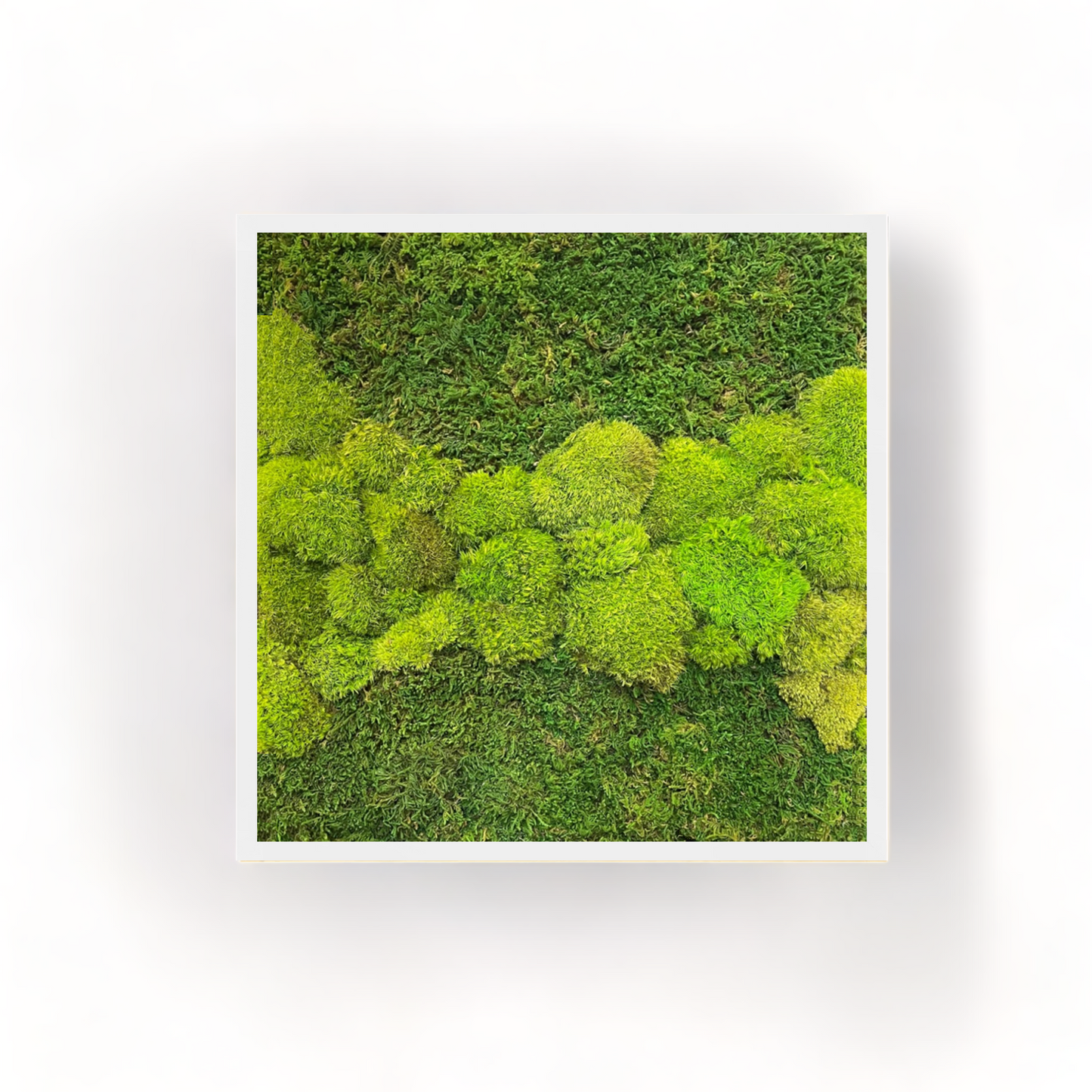 Hoppy Fields Moss Art Frame